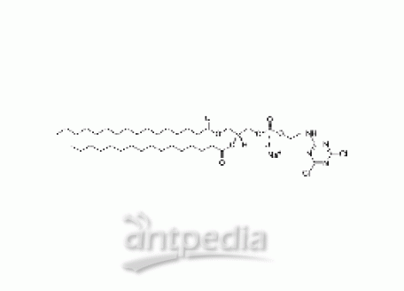 1,2-dipalmitoyl-sn-glycero-3-phosphoethanolamine-N-(cyanur) (sodium salt)