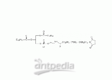 L-磷脂酰乙醇胺 PEG 马来酰亚胺, DPPE-PEG-Mal