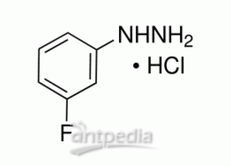 3-氟苯肼盐酸盐