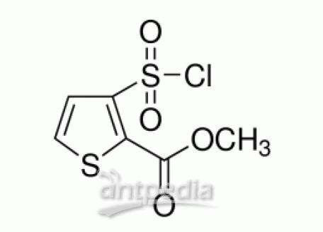 3-(氯磺酰)-2-噻吩羧酸甲酯