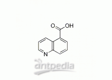 喹啉-5-羧酸