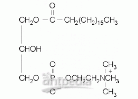 1-硬脂酰-sn-甘油-3-磷酰胆碱
