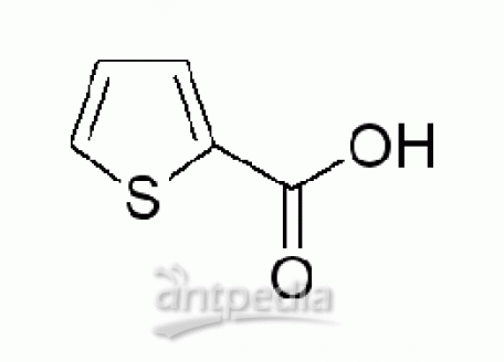 噻吩-2-羧酸