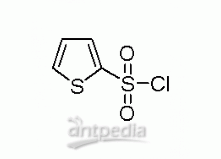 噻吩-2-磺酰氯