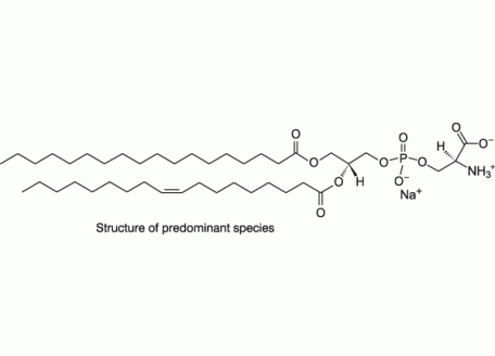 L-α-磷脂酰丝氨酸(猪脑)(钠盐)，383907-32-2，>99%