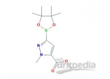 1-甲基-3-(4,4,5,5-四甲基-1,3-二氧硼烷-2-基)-1H-吡唑-5-羧酸甲酯，929899-20-7，95%