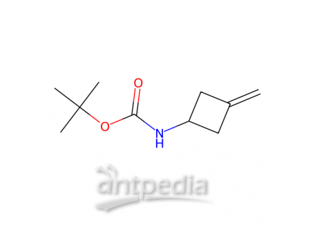 (3-亚甲基环丁基)氨基甲酸叔丁酯，130369-04-9，95%