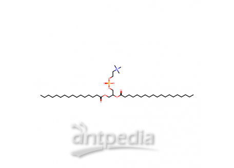L-α-磷脂酰胆碱(鸡蛋)  ，97281-44-2，98%