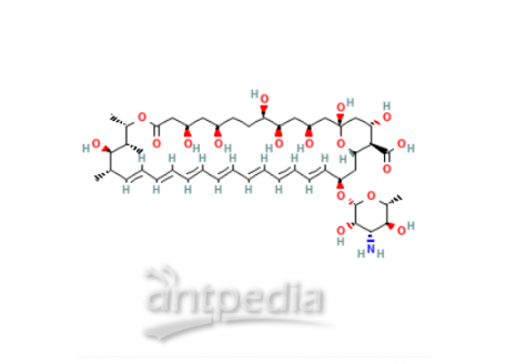 两性霉素B，1397-89-3，无动物源, 低内毒素, ≥750 μg/mg,用于细胞培养(培养基原料)