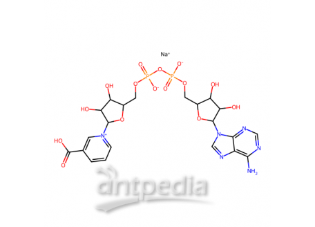 烟酸腺嘌呤二核苷酸钠盐，104809-30-5，≥98%