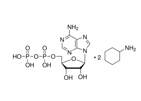 腺苷-5′-二磷酸 环己铵盐，58-64-0，95%