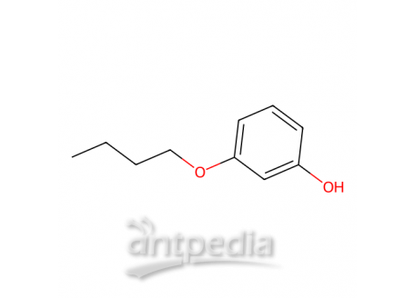 3-丁氧基苯酚，18979-72-1，>96.0%(GC)