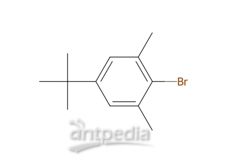 2-溴-5-叔丁基-1,3-二甲苯，5345-05-1，98.0%