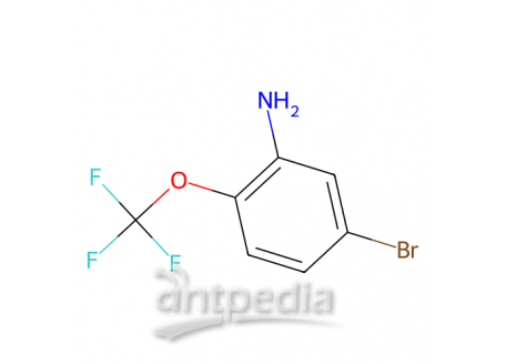 2-三氟甲氧基-5-溴苯胺，886762-08-9，98%