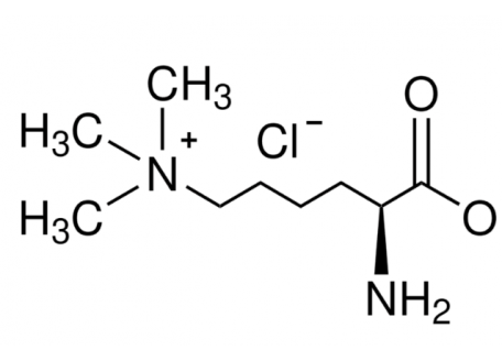 Nε，Nε，Nε-三甲基赖氨酸盐酸盐，55528-53-5，≥97% (TLC)