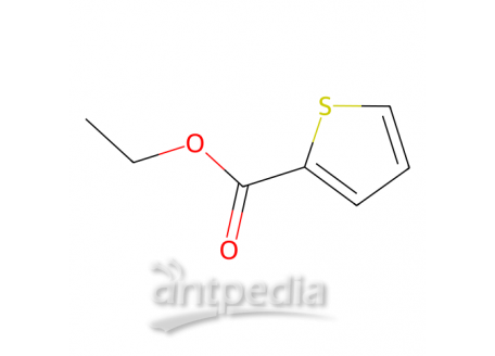 噻吩-2-羧酸乙酯，2810-04-0，99%