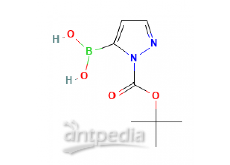 1-BOC-5-吡唑硼酸（含不等量酸酐），1217500-54-3，97%