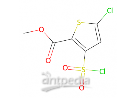 5-氯-3-(氯磺酰基)噻吩-2-甲酸甲酯，126910-68-7，95%