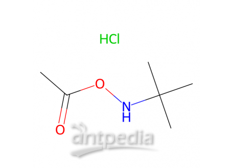 O-乙酰基-N-叔丁基羟胺盐酸盐，851074-40-3，>98.0%(T)