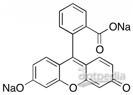 荧光素钠，518-47-8，70%