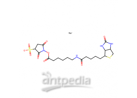 6-(生物素酰胺)己酸磺酸基琥珀酰亚胺酯钠盐，127062-22-0，95%