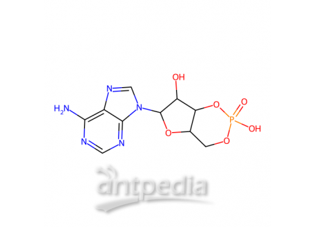 腺苷-3