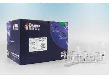 PCR产物纯化试剂（磁珠法）
