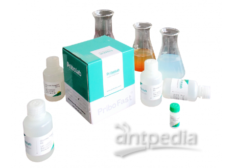 淀粉检测试剂盒