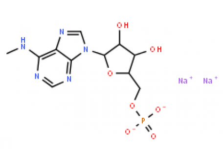 N6-甲基腺苷-5′-单磷酸酯钠盐