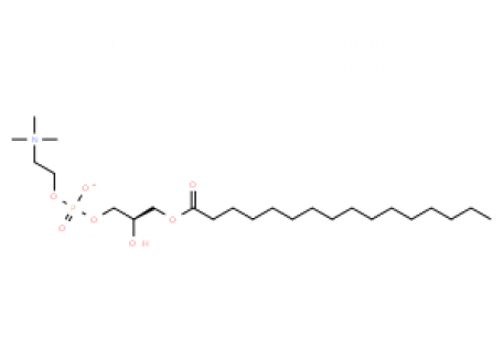 1-十六酰-sn-丙三醇-磷酸胆碱