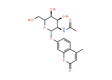 4-甲基香豆素-2-乙酰氨基-2-脱氧-β-D-吡喃葡萄糖苷