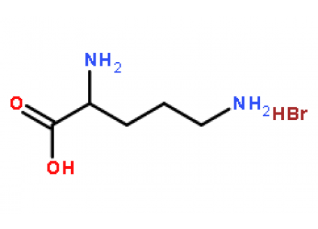 POLY-L-ORNITHINE HYDROBROMIDE