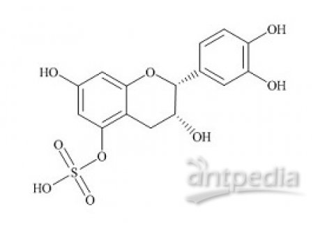 PUNYW23329595 (-)-Epicatechin-5-Sulfate