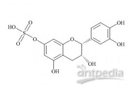 PUNYW23331358 (-)-Epicatechin-7-Sulfate