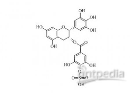 PUNYW19228175 (-)-Epigallocatechin Gallate Sulfate B