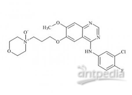 PUNYW7222150 Gefitinib N-Oxide