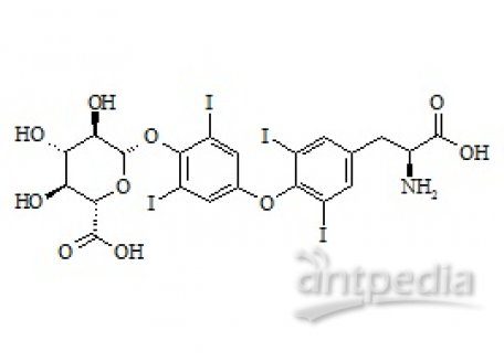 PUNYW6425549 Levothyroxine phenolic glucuronide