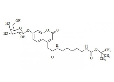 PUNYW13804492 Mucopolysaccharidosis Type IV Related Compound MPS-IV-2 (GALNS-P)