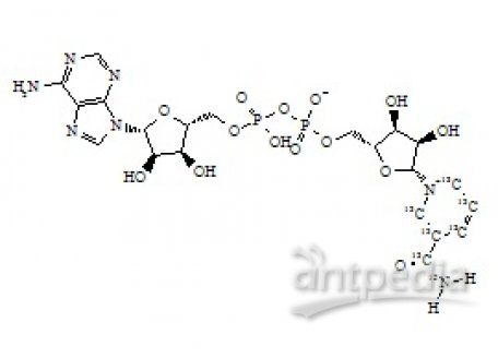 PUNYW5162266 Nicotinamide Adenine Dinucleotide-13C6-15N