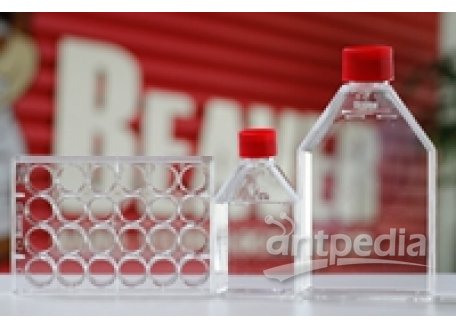 TCT细胞培养瓶，透气盖，25cm2