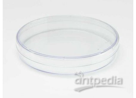 TCT细胞培养皿，60mm