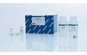 QIAGEN QIAquick PCR Purification Kit