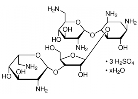N6063-5g 新霉素硫酸盐,生物技术级