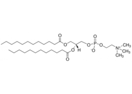 D838478-100mg L-A-月桂酰磷脂酰胆碱,≥99%