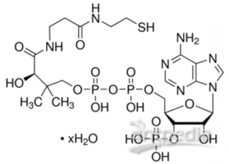 C824132-5g 辅酶 A 水合物,85%