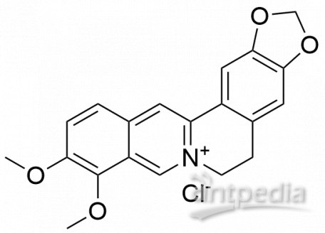 B802464-20mg 盐酸小檗碱,分析对照品