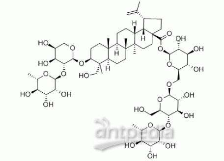 A823483-25mg 白头翁皂苷B4,分析对照品