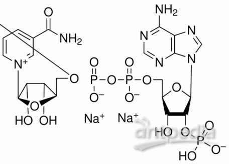 N814841-1g β-烟酰胺腺嘌呤二核苷酸磷酸二钠盐,98%