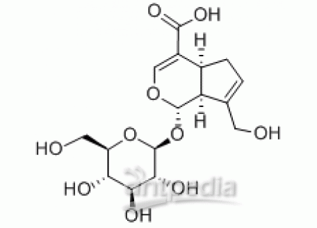 G823650-20mg 京尼平苷酸,分析对照品