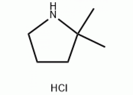 D844665-250mg 2,2-二甲基吡咯烷盐酸盐,97%